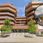 Ealing Fly-Tipping Surges 50% to 25,000 Incidents in 2024/26