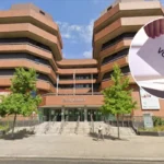 Ealing 2026 Elections: Record 367 Candidates Battle for 70 Seats (Ealing, 2026)
