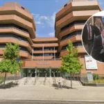 Ealing's NEET Crisis: Gary Buckley's Urgent Call to Action 2026