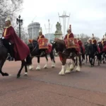 Buckingham Palace Changing of the Guard Explained – Westminster