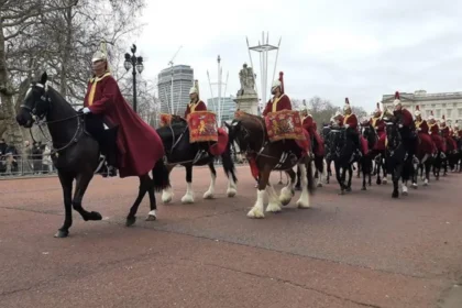 Buckingham Palace Changing of the Guard Explained – Westminster