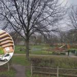 Ealing Council Condemns Vile Racist Graffiti at Gurnell Perivale 2026