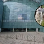 Hackney Office Ritual Sacrifice Investigation: Live Goat Dragged Inside, London 2026