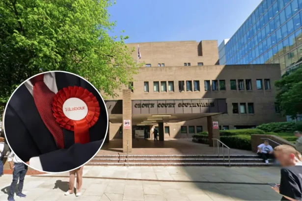 Labour Activist Admits Vote Rigging Croydon East 2026