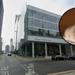 Mice and Cockroaches Overrun Council Homes: Croydon 2026