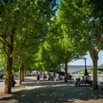 South Bank Walk Landmarks and Thames Views Guide, South Bank
