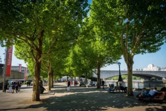 South Bank Walk Landmarks and Thames Views Guide, South Bank