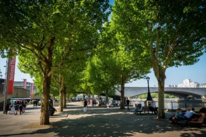 South Bank Walk Landmarks and Thames Views Guide, South Bank
