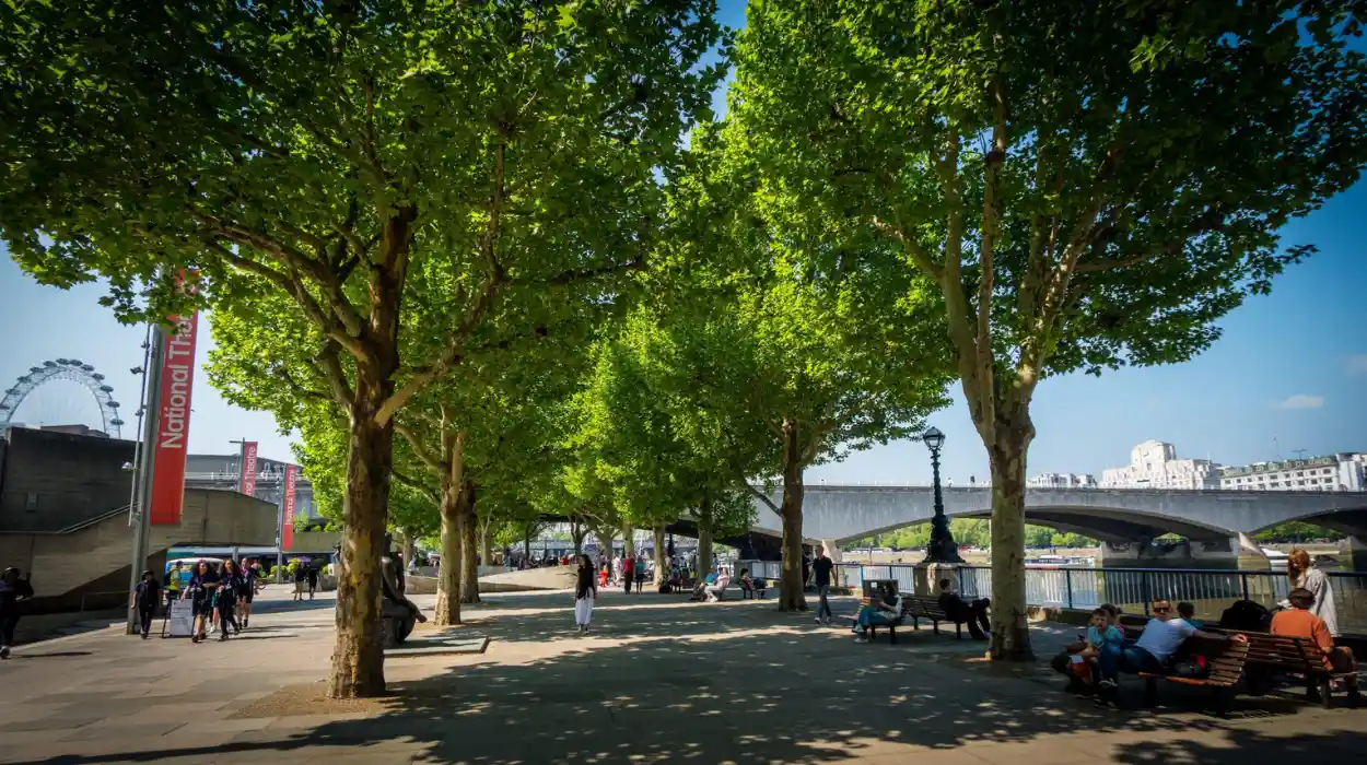 South Bank Walk Landmarks and Thames Views Guide, South Bank