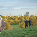 Finbar Sullivan Primrose Hill Murder Teen Denies Charges North London 2026