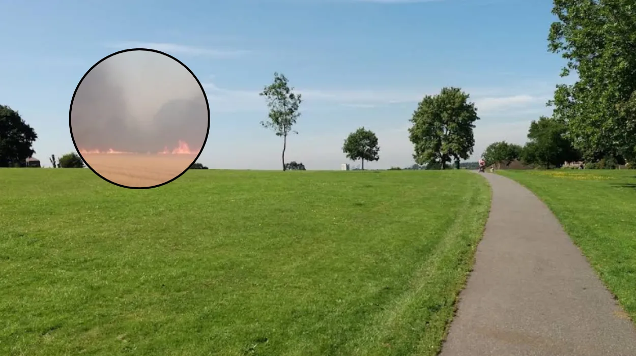 London Fire Brigade Tackles 63 Grass Fires in London 2026