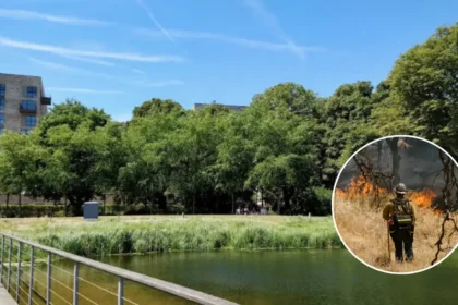 London Park BBQ Bans Tighten Amid Extreme Wildfire Risk London 2026