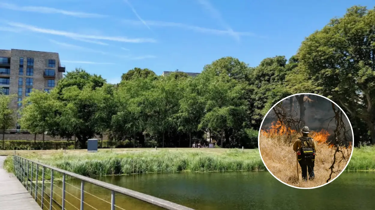 London Park BBQ Bans Tighten Amid Extreme Wildfire Risk London 2026