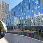 TfL Alters Routes 19 and 38 Despite Backlash London 2026