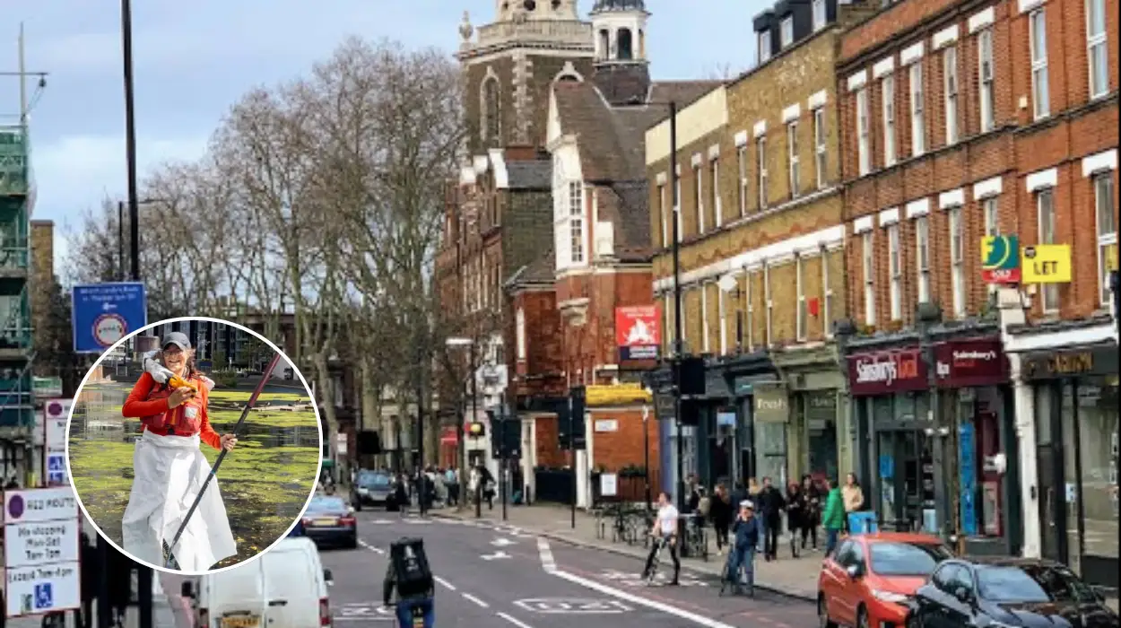 Are There Any Swans Left in Islington 2026