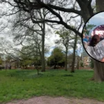 Ealing Blues Festival Lineup At Walpole Park Ealing 2026