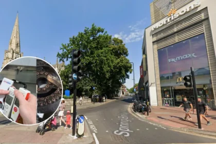 Ealing Ranks Lowest in London Food Hygiene Study 2026