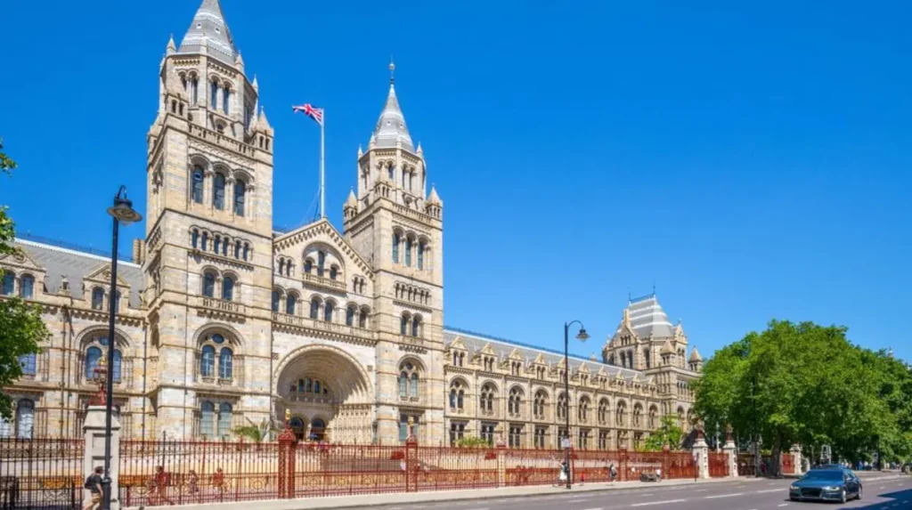 How Londons Museums Shaped British Culture Through Education, Innovation, and Preservation