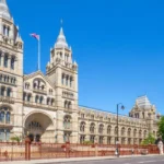 How Londons Museums Shaped British Culture Through Education, Innovation, and Preservation