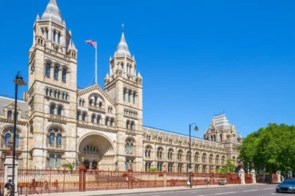 How Londons Museums Shaped British Culture Through Education, Innovation, and Preservation