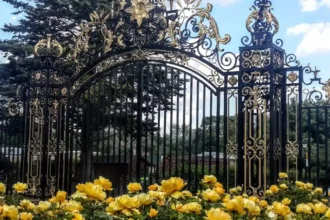 School AstroTurf Pitch Planned for Central London Queen's Park 2026
